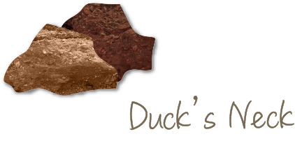 Duck's Neck