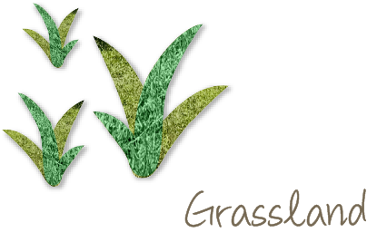 Grassland